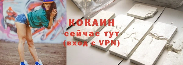 соль ск Зеленодольск