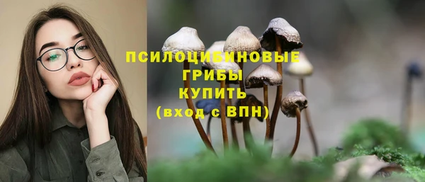 ешки Зеленокумск