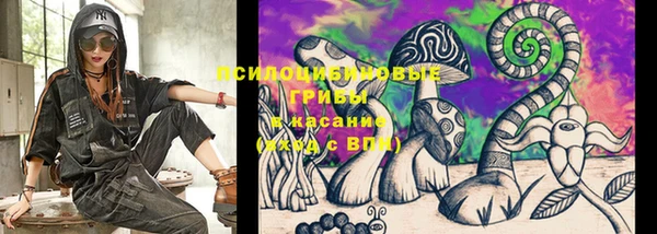 ешки Зеленокумск