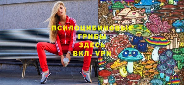 соль ск Зеленодольск